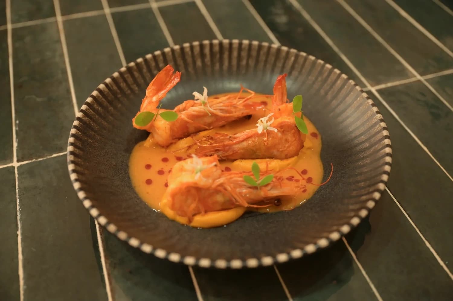 TROBBU Riviera Maya seafood dish