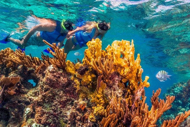TROBBU Cruises — Diving & Snorkeling