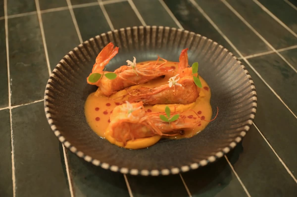 TROBBU Riviera Maya seafood dish