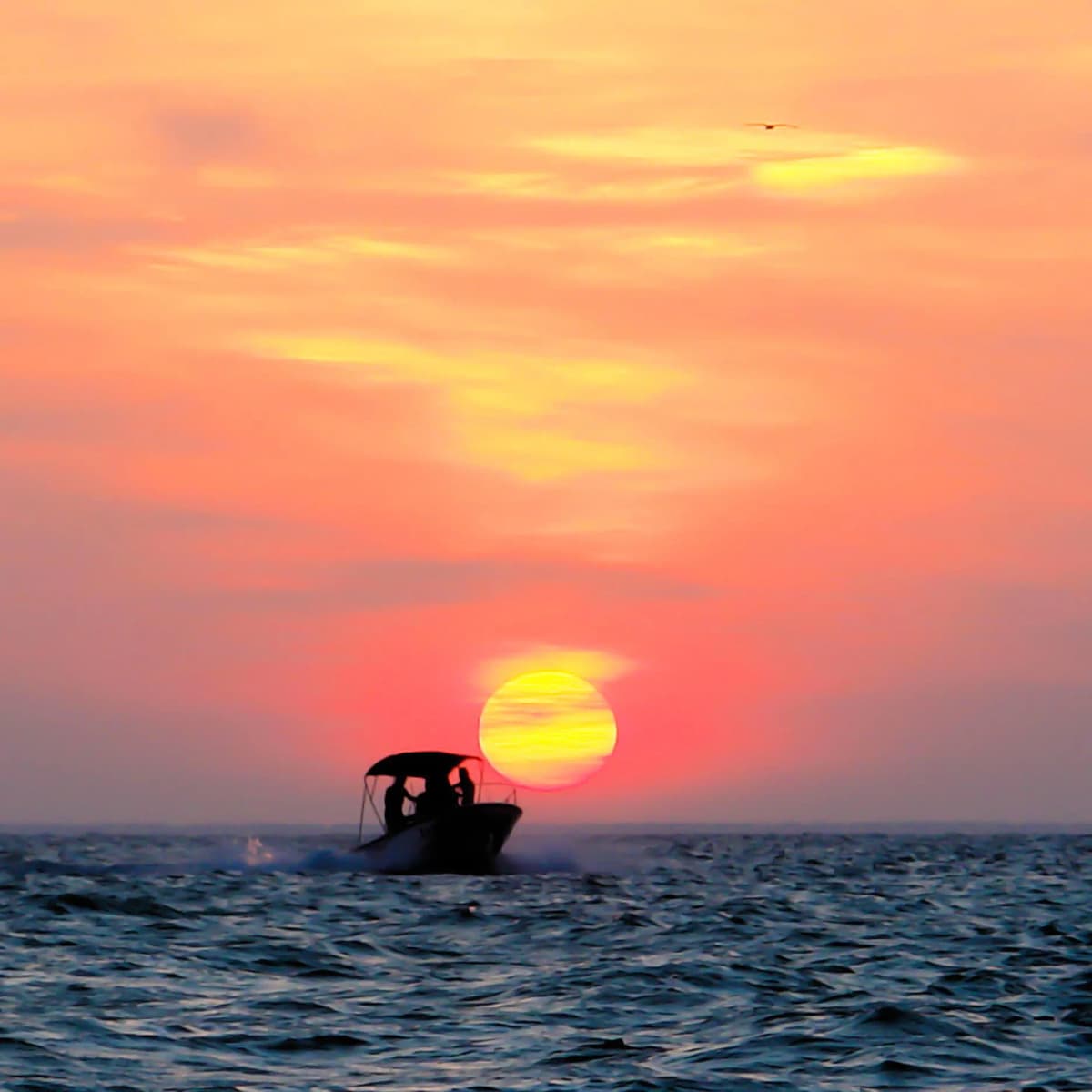 Sunset boat tour