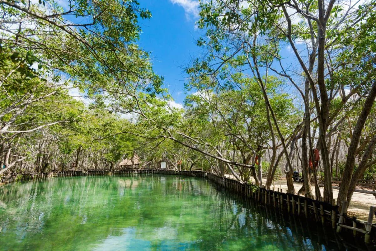El Corchito Ecological Reserve
