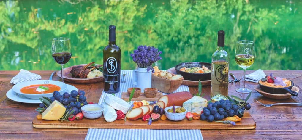 TROBBU Wine Tasting at Viñedo San Lucas